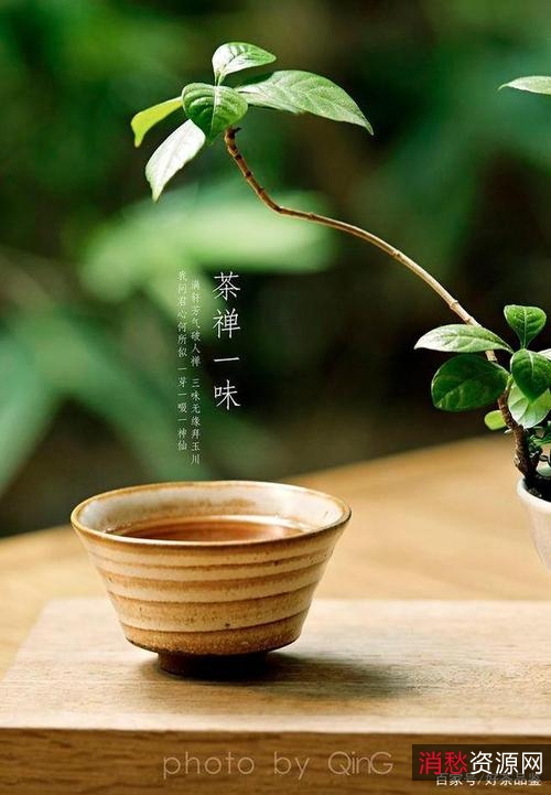 茶道茶经茶艺典藏精品