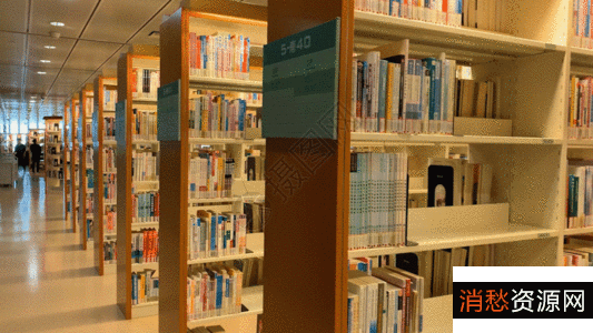 图书馆资源,大约100G电子书籍++绝对珍藏