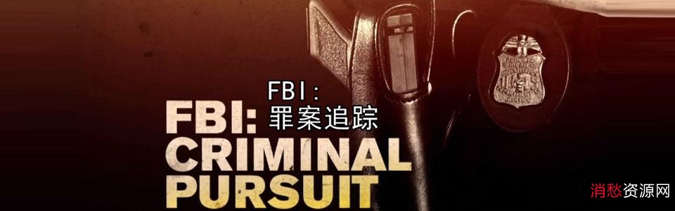 「FBI很忙系列」