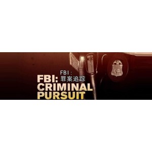 「FBI很忙系列」