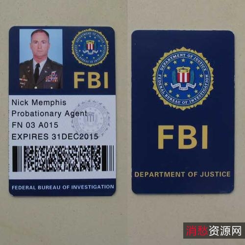 「FBI很忙系列」