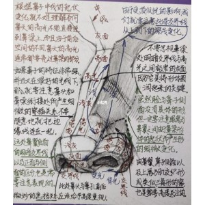 绝版男生恋爱书籍：撩道1-5系列【价值不菲】