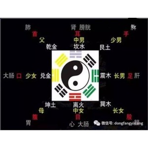 不取用神！不看旺衰！「四柱独门铁口直断」简捷明了！实用性强！准确率高！