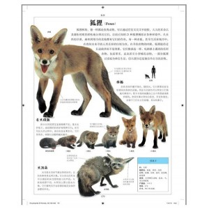 DK百科全书-29PDF