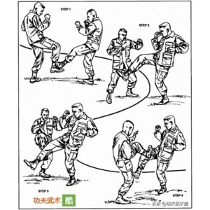 《一招制敌——徒手格斗大全》（新版）美国陆军部