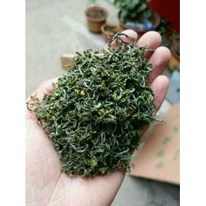 如何识破渣男渣女绿茶