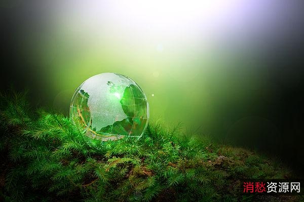 「Everything+1.41+绿色版」