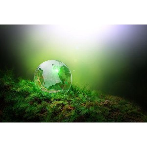 「Everything+1.41+绿色版」