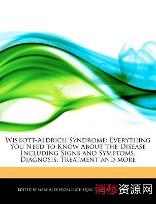 「Everything+1.41+绿色版」