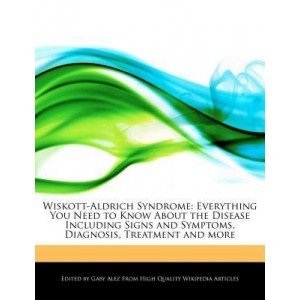 「Everything+1.41+绿色版」