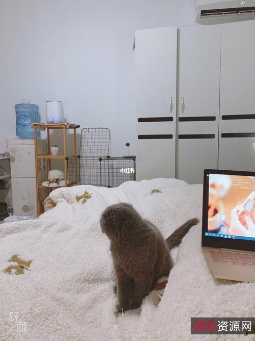 【亲测系列，追剧神器】免费，无广告被窝追剧！