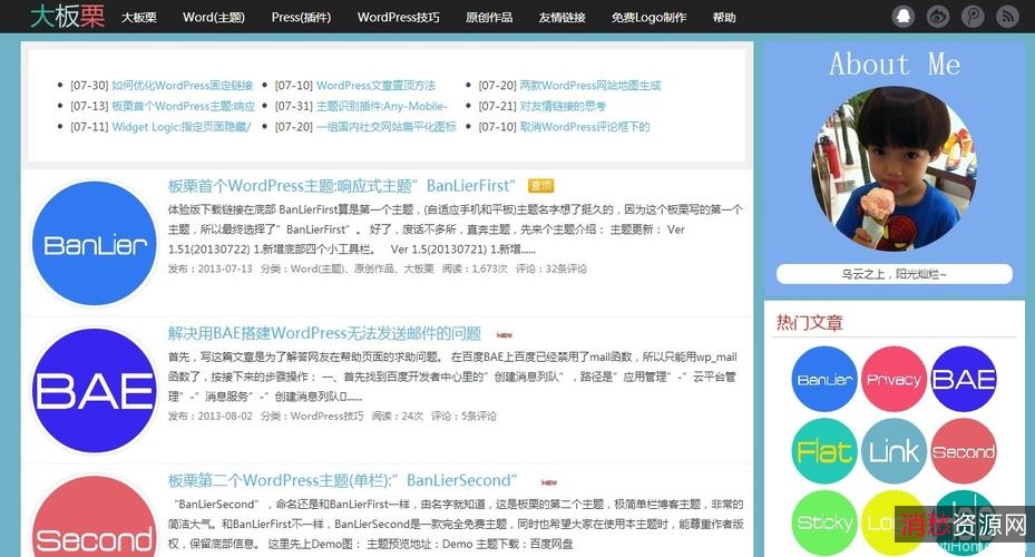 WordPress高颜值博客主题