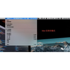 Thief+Book+4.0+绿色纯净版+-+上班摸鱼偷偷看小说的利器+(伪装隐蔽看书工具/老板键隐藏)