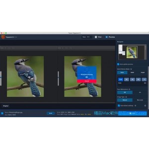 让你的图片更加清晰+Topaz+Gigapixel+A.I.+4.4.0
