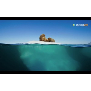 《BBC高质量纪录片：在AliyunDrive上拓宽视野》