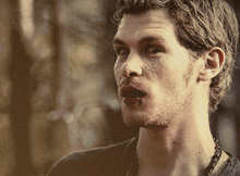 《初代吸血鬼》第五季：50TB容量，全面剧情解析，兰斯·安德森等主演