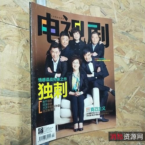 《家庭矛盾与法律援助：红纸鹤》