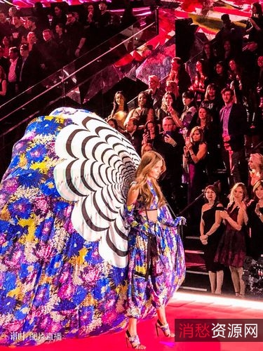 《2005-2018维多利亚的秘密时装秀合集：高清视频+原画+倍速观看》