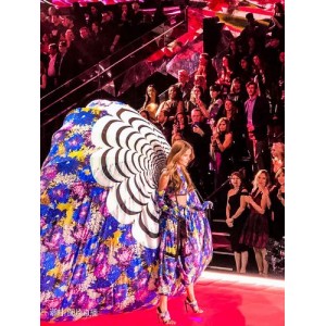 《2005-2018维多利亚的秘密时装秀合集：高清视频+原画+倍速观看》