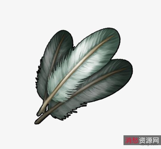 《持续更新!免抠PNG透明图片,植物、动物、风景等多种类型资源》