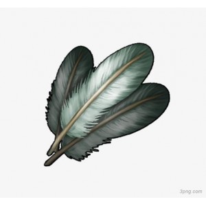 《持续更新！免抠PNG透明图片，植物、动物、风景等多种类型资源》