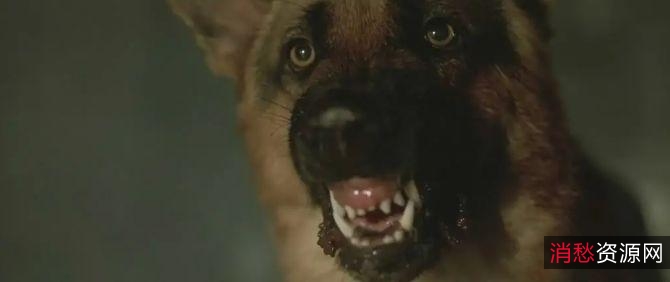 《精彩绝伦！食人鱼3DD食人鱼3DS血腥爆头16x》