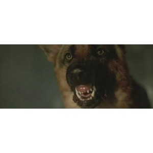 《精彩绝伦！食人鱼3DD食人鱼3DS血腥爆头16x》