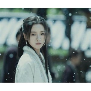 《雪中悍刀行》电视剧：35集古装武侠正义之旅