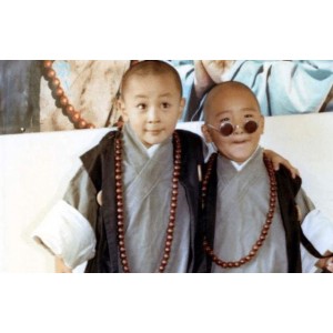 免费下载！释小龙郝邵文经典回忆，视频原画倍速播放，深受观众喜爱