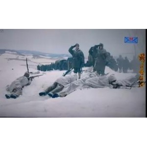 长津湖经典：4K高清电影《长津湖.4K.19.33GB版》，阿里云网盘下载