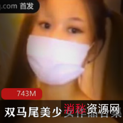 《可爱双马尾美少女的艳遇旅途——天南地北的宾馆恋爱史》