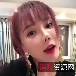 3V2.41G艾小青电子产品