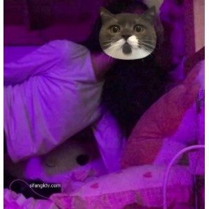 疯狂激吻：双女畸形恋攻守暴抠假JJ打粑粑吃瓜自拍2.1G3v百度盘