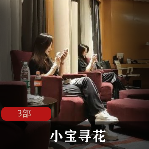 小宝寻花：两天三回合，总计3部，让你沉醉于成人世界的极致体验！