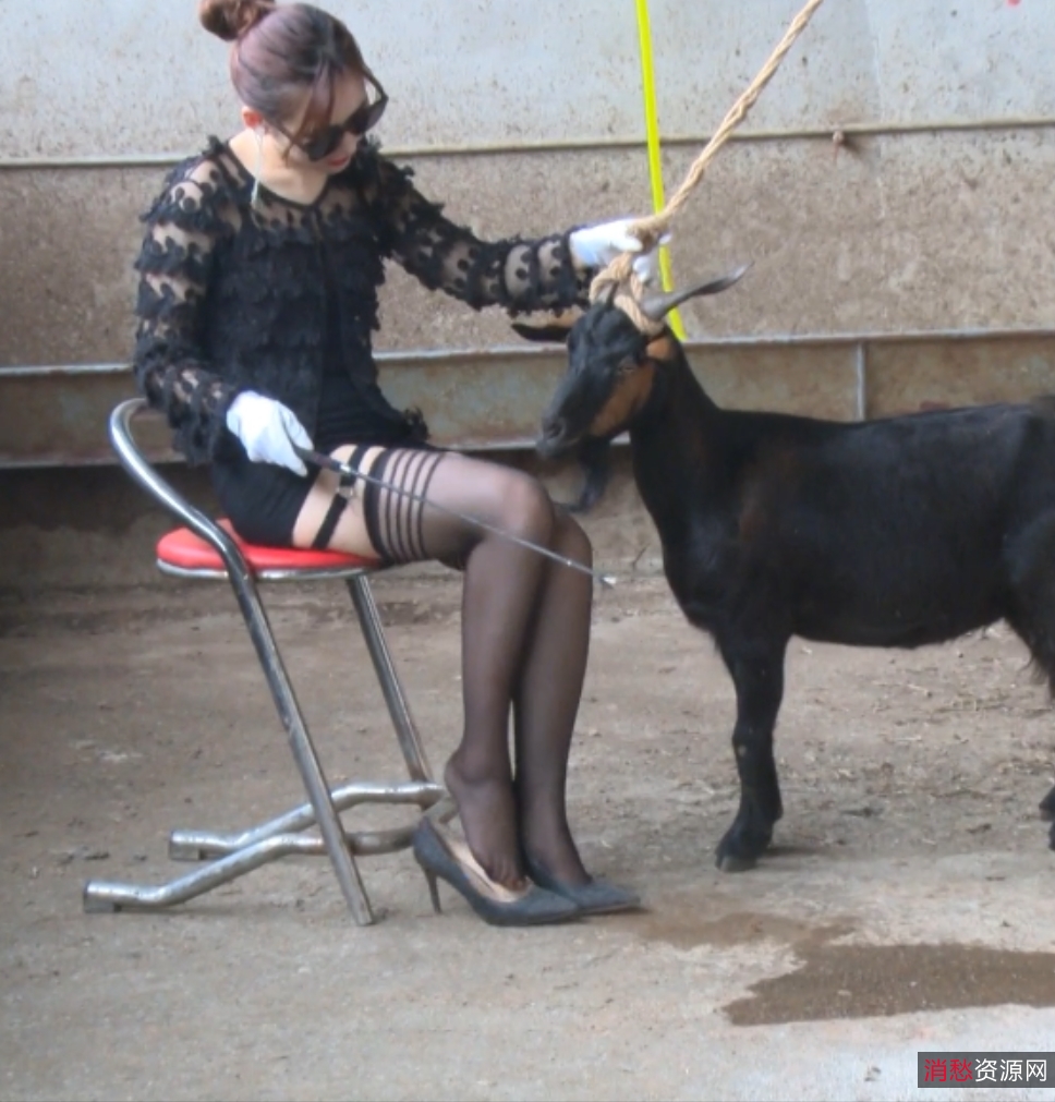 黑丝高跟鞋美女残忍骑羊