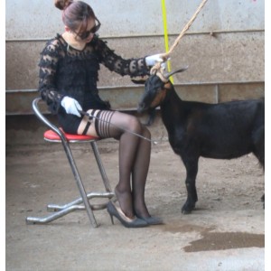 黑丝高跟鞋美女残忍骑羊