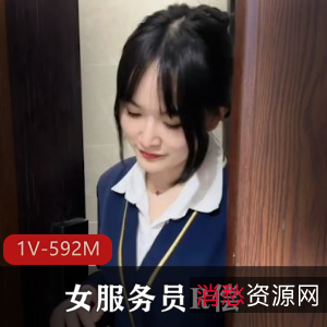 无赖客户借口电视坏了-要求女服务员R偿-微微-24分钟-1V-529M