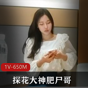 探花大神：身材棒，时长27分钟，小姐姐约会视频