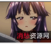 《阿黑颜神作-开发日记-10部全系列汉化合集：岛国情感纠葛，2.8G视频质量无可挑剔》