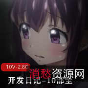 《阿黑颜神作-开发日记-10部全系列汉化合集：岛国情感纠葛，2.8G视频质量无可挑剔》
