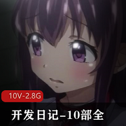 《阿黑颜神作-开发日记-10部全系列汉化合集：岛国情感纠葛，2.8G视频质量无可挑剔》