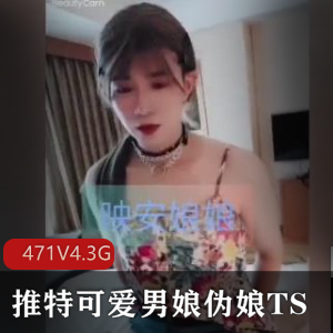 推特男娘小妮TS精品视频合集-471V-4.3G，可爱伪娘小视频资源djdi