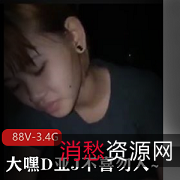 上海名媛自拍派对视频合集，老嘿钟爱的小姐姐，高清画质