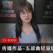 传媒作品五部曲轻量版5V800M