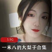 一米八御姐大梨子，绝版5.8G视频合集，美腿身材惊艳