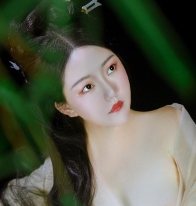 刘二狗古风合集：5v500p，900m，百度盘大放送