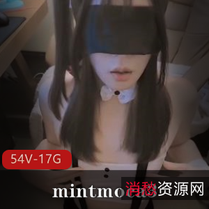 TSOnlyFans大雕-mintmoca3合集：54V，17G，女孩涂油R自己，前列腺隆球手术下载