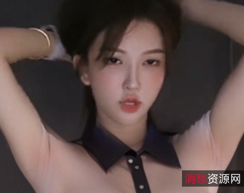 各类型ai去衣自整理超大合集