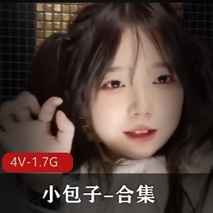 载吧!小包子合集[4V1.7G]美颜滤镜下的超人气女主,老司机力荐,童颜大球,糖心合作,正片一网打尽!