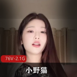 网红短视频小野猫最新合集76V2.1G，纯女人道具秀！